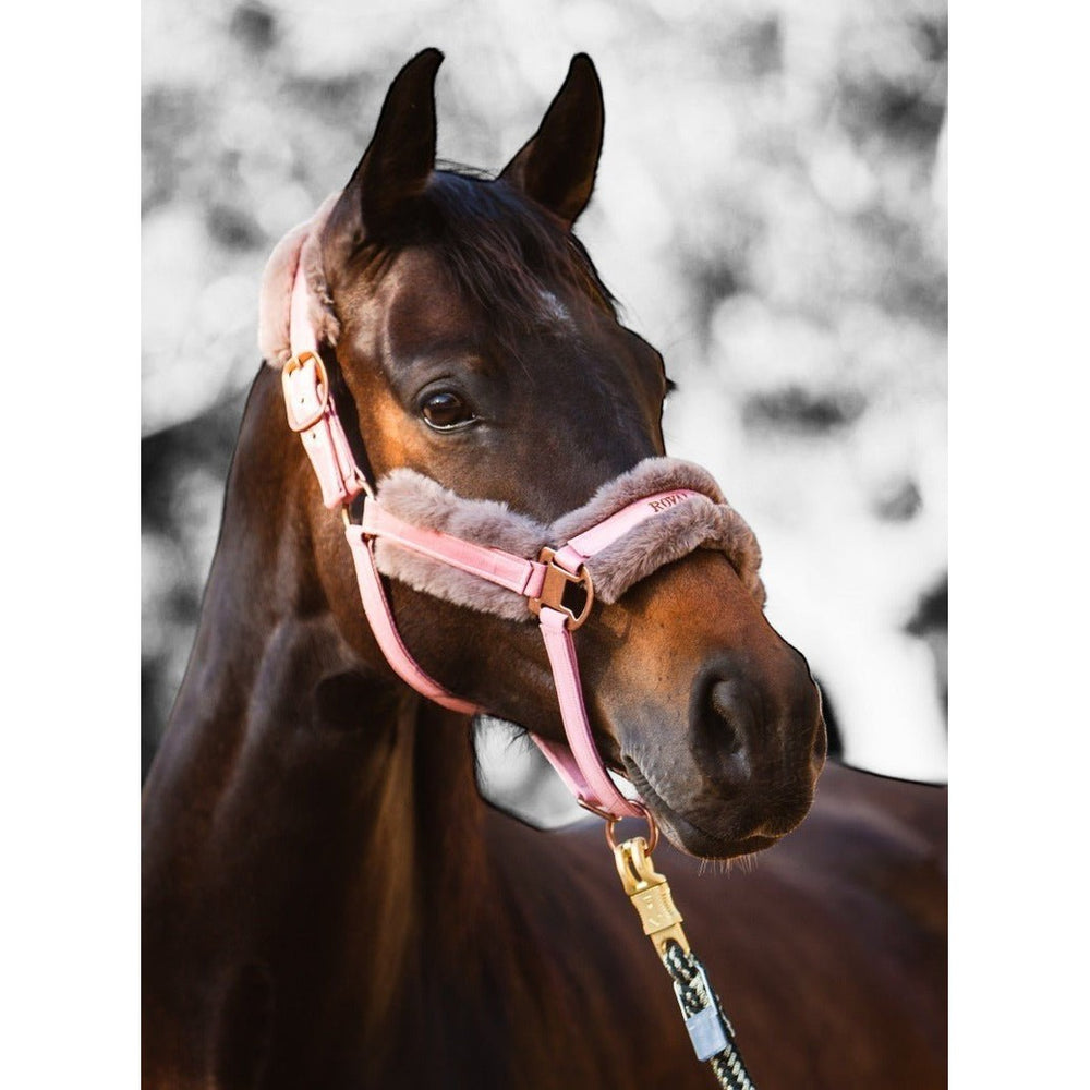Royal Equestrian Fur Halter Pink Full
