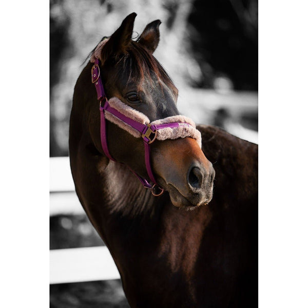 Royal Equestrian Fur Halter Purple Full