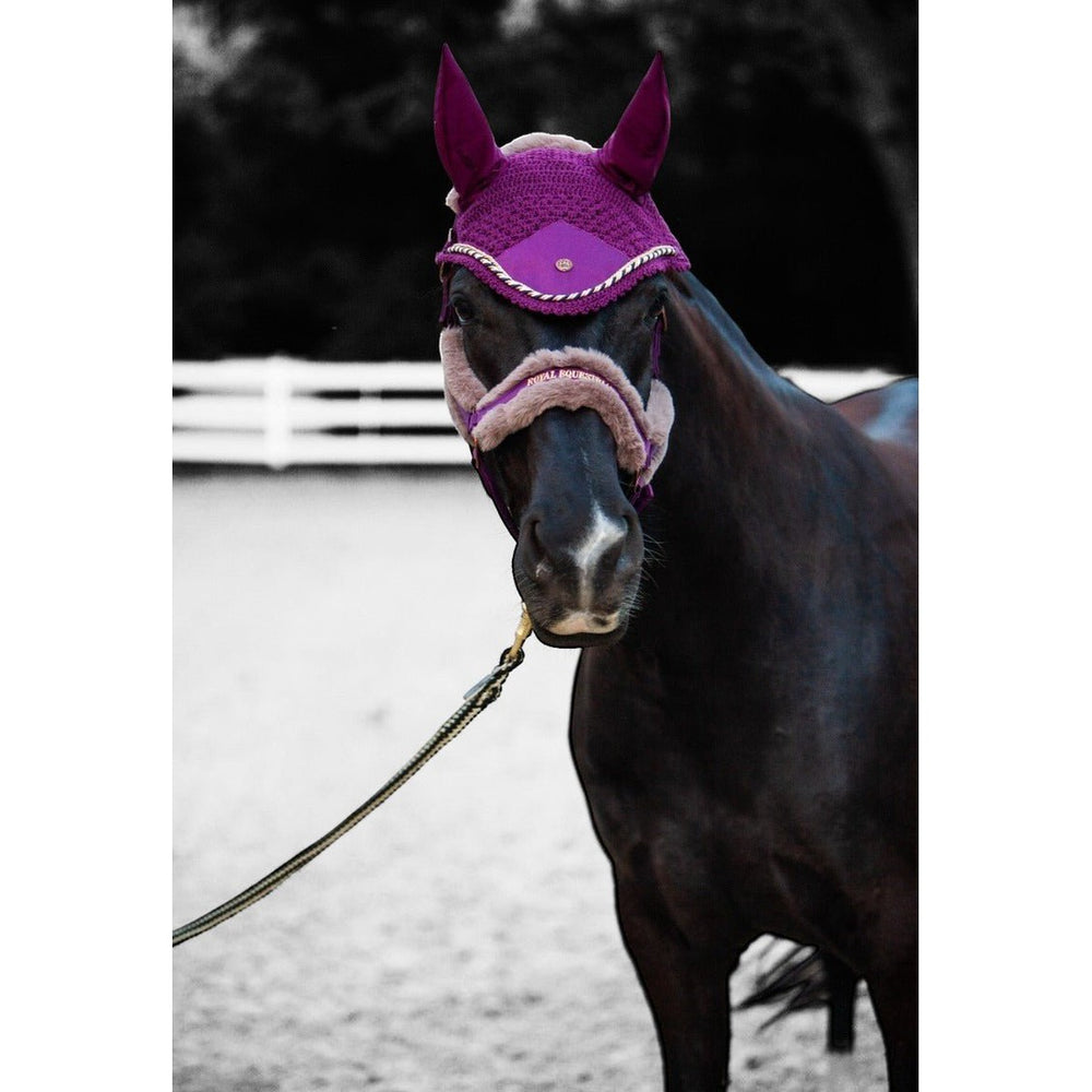Royal Equestrian Fur Halter Purple Full