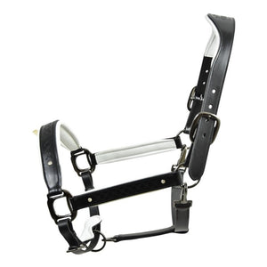 Royal Equestrian Pro Diamond Jog Leather Halter (licou en cuir)