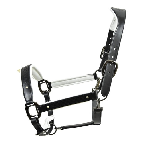 Royal Equestrian Pro Diamond Jog Leather Halter (licou en cuir)