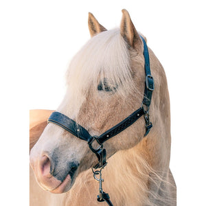 Royal Equestrian Pro Diamond Jog Leather Halter (licou en cuir)