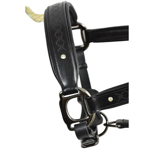 Royal Equestrian Pro Diamond Jog Leather Halter (licou en cuir)