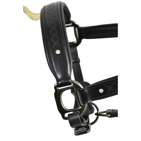 Royal Equestrian Pro Diamond Jog Leather Halter (licou en cuir)