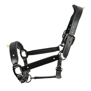Royal Equestrian Pro Diamond Jog Leather Halter (licou en cuir)