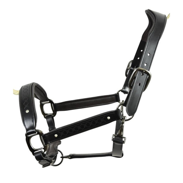 Royal Equestrian Pro Diamond Jog Leather Halter (licou en cuir)