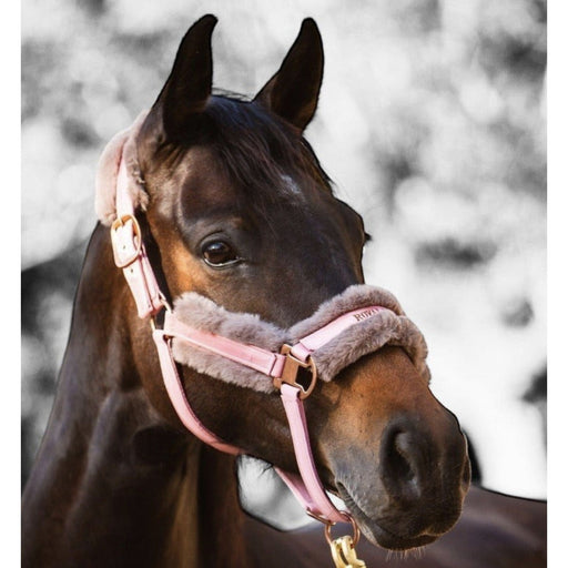 Royal Equestrian Fur Halter Pink Full