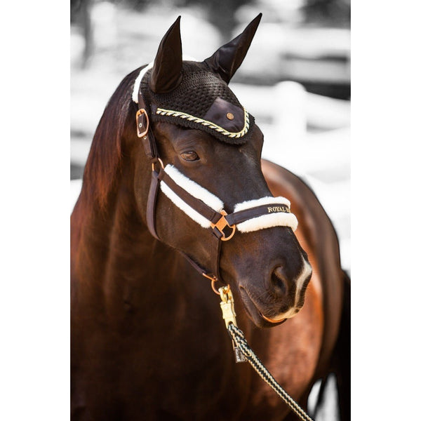 Royal Equestrian Premium Ear Bonnet Black Gold Full