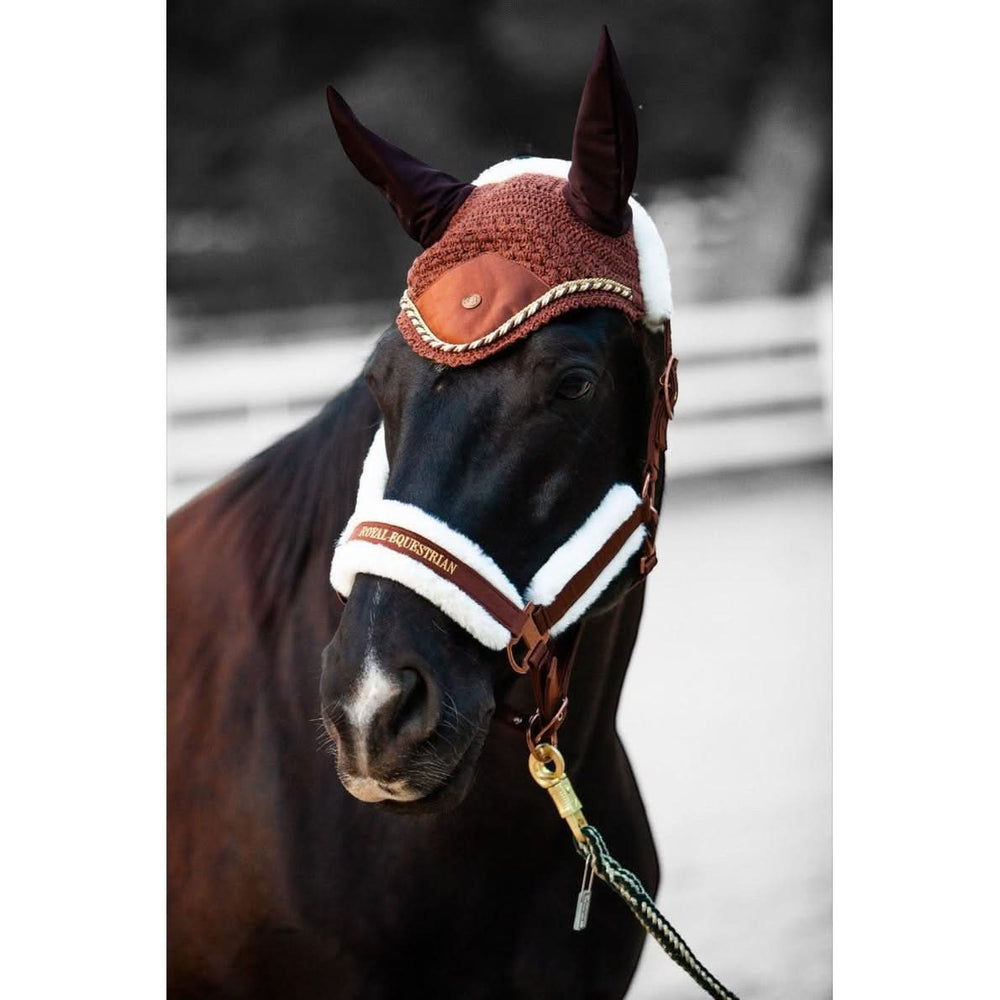 Royal Equestrian Premium ørehette sjokoladefarget