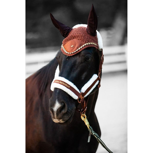 Royal Equestrian Premium ørehette sjokoladefarget