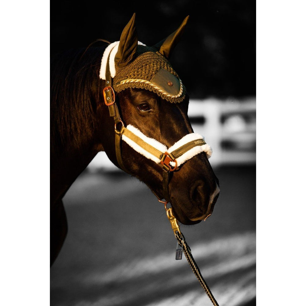 Royal Equestrian Premium Ear Bonnet Olive Blue Full