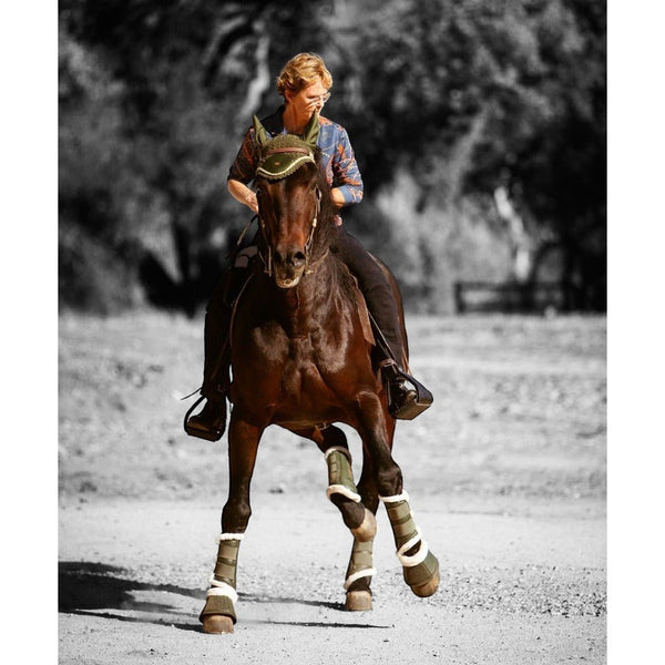 Royal Equestrian Premium Ear Bonnet Olive Blue Full