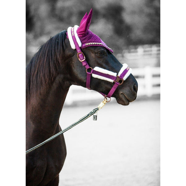Royal Equestrian Premium Ear Bonnet Purple Navy Full