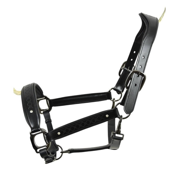 Royal Equestrian Pro Diamond Jog Leather Halter (licou en cuir)