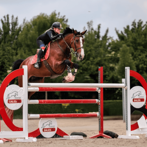 Royal Equestrian Riding Top Base Layer Heritage Team