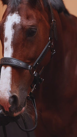 Royal Equestrian Pro Diamond Jog Leather Halter