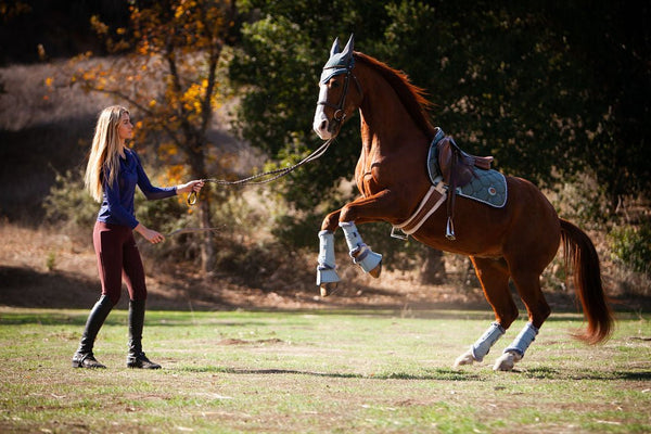 Royal Equestrian Cuscinetto per sella da dressage blu marino completo - Royal Equestrian