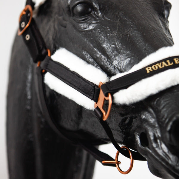 Royal Equestrian Fur Halter Black Gold Full - Royal Equestrian
