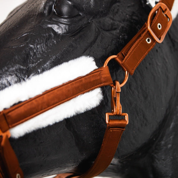 Royal Equestrian Fur Halter Chocolate Full - Royal Equestrian