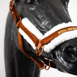 Royal Equestrian Fur Halter Chocolate Full - Royal Equestrian