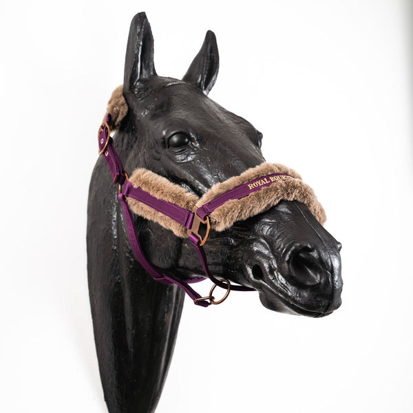 Royal Equestrian Fur Halter Purple Full - Royal Equestrian