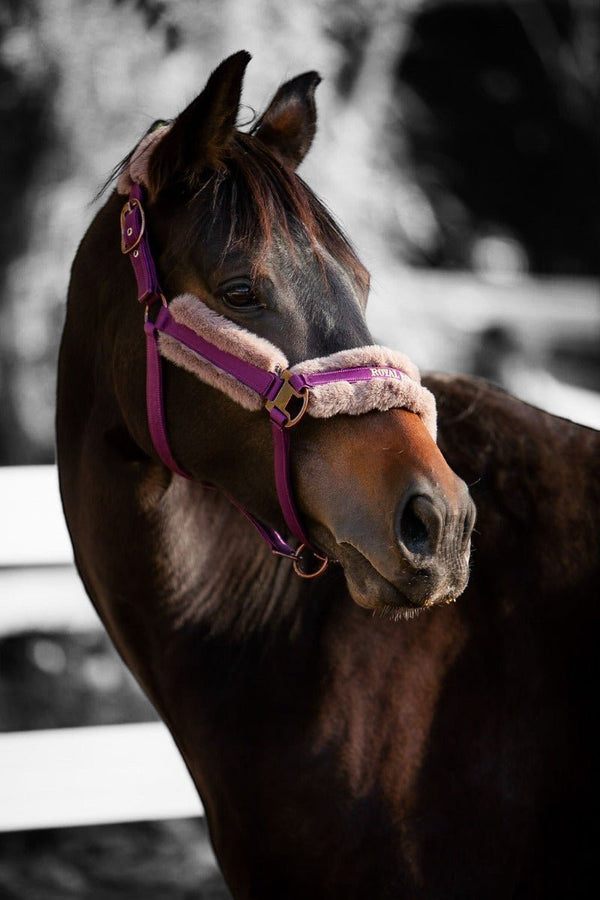Royal Equestrian Fur Halter Purple Full - Royal Equestrian