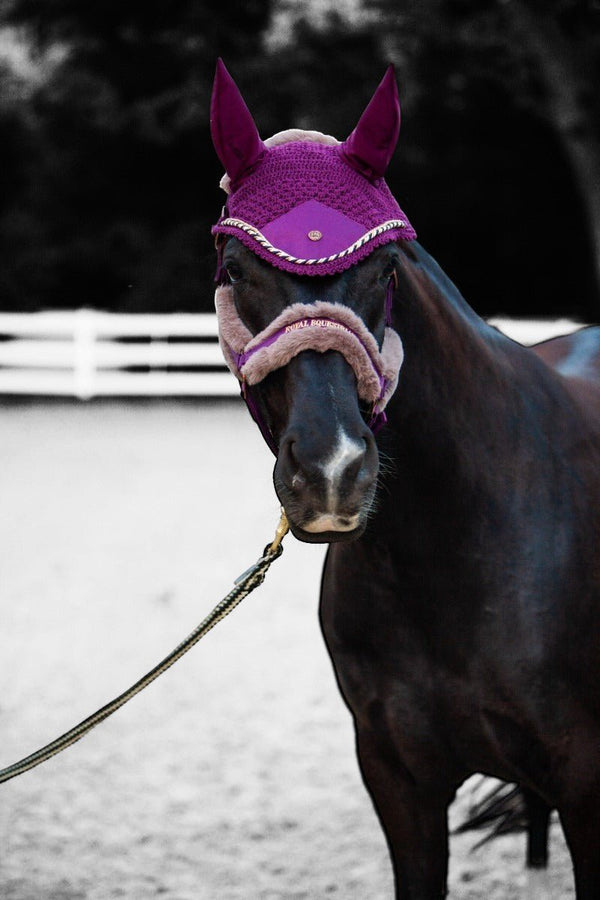 Royal Equestrian Fur Halter Purple Full - Royal Equestrian