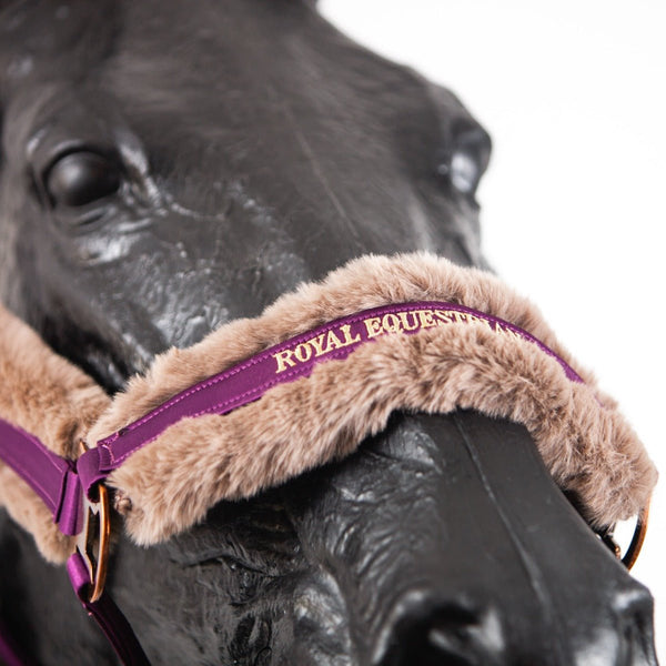 Royal Equestrian Fur Halter Purple Full - Royal Equestrian