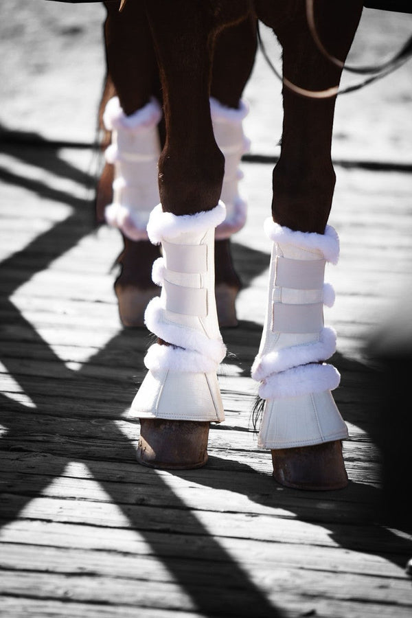 Royal Equestrian Premium Bell Boots White - Royal Equestrian