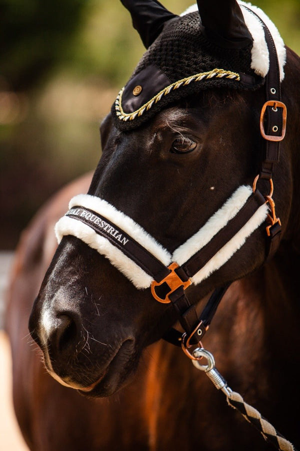 Royal Equestrian Premium Ear Bonnet Black Gold Full - Royal Equestrian