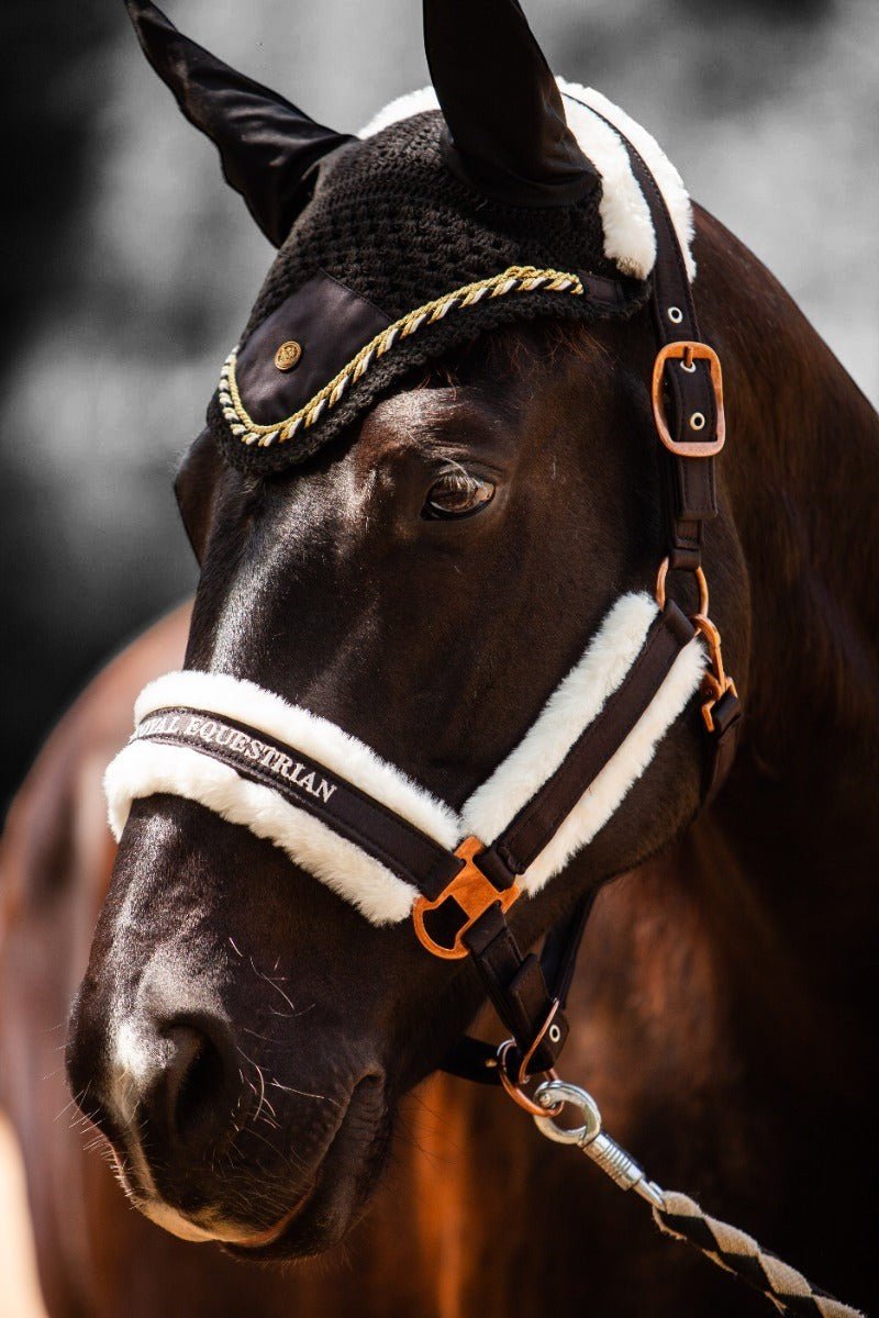 Royal Equestrian Premium Nauszniki Black Silver Full - Royal Equestrian