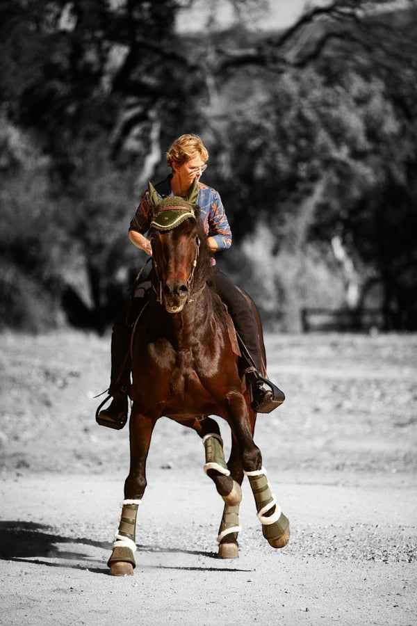 Royal Equestrian Premium Nauszniki Olive Blue Full - Royal Equestrian