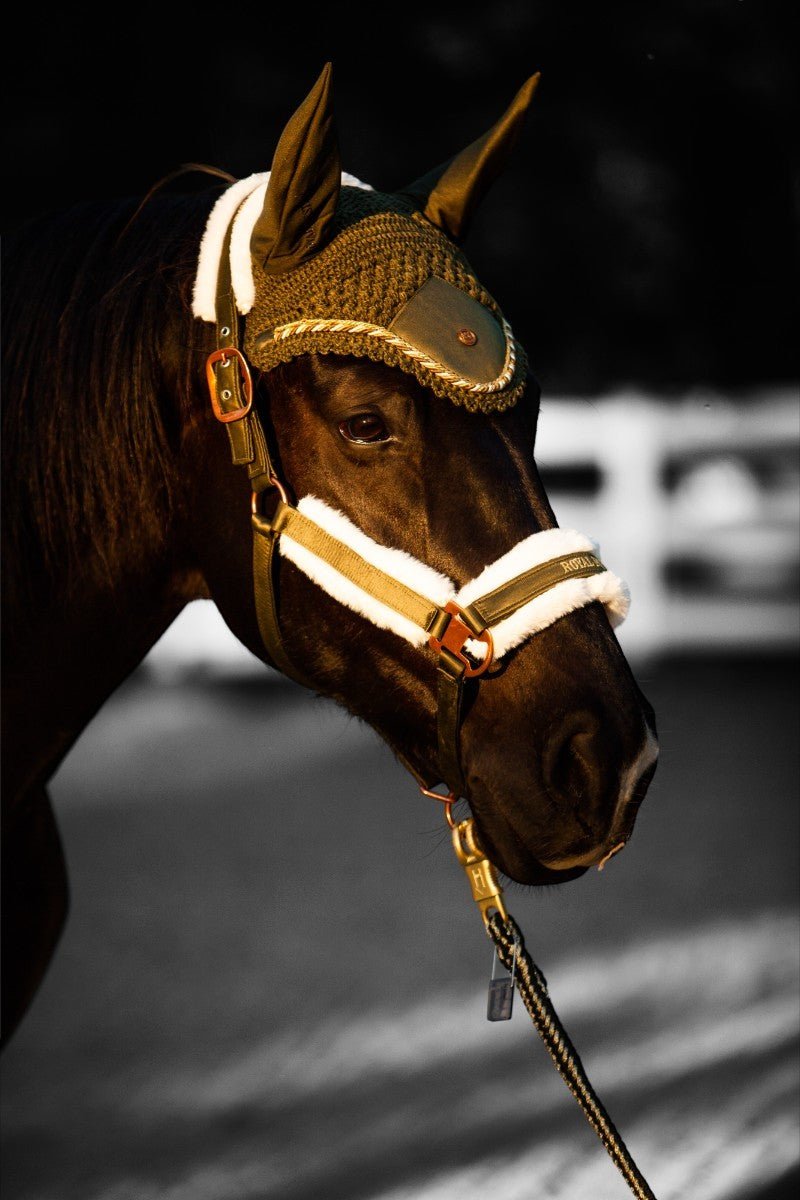 Royal Equestrian Premium Nauszniki Olive Blue Full - Royal Equestrian