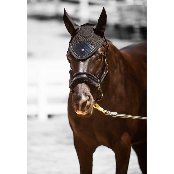 Royal Equestrian Fellhalfter Croco Schwarz Voll