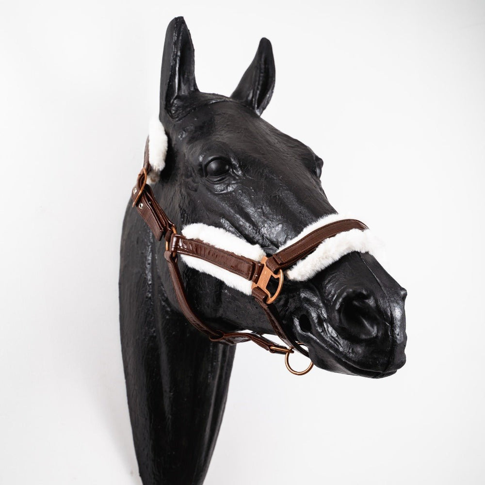 Royal Equestrian Fellhalfter Croco Chocolate Voll