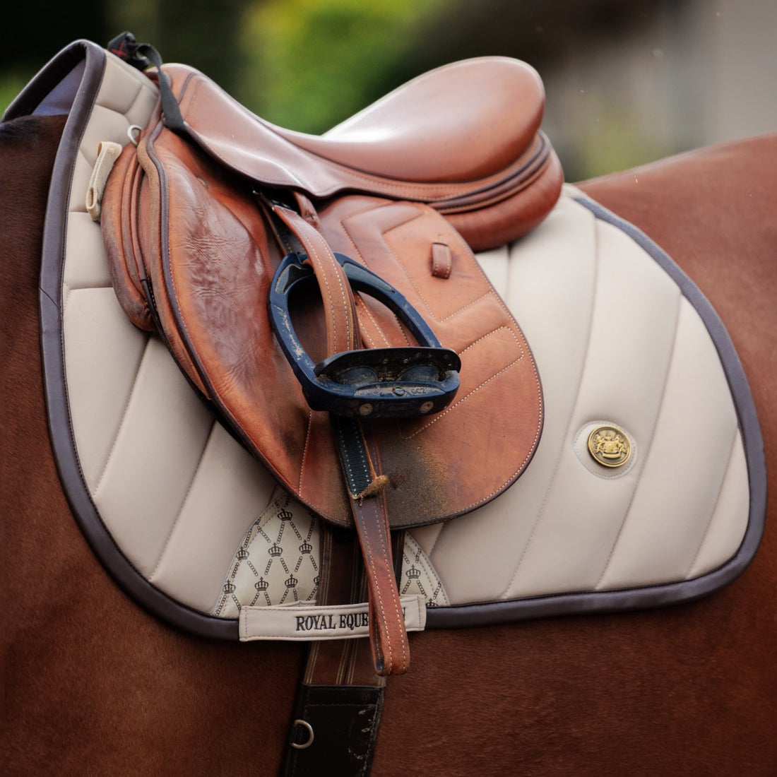 Luxury of Royal Equestrian Collection saddle pads