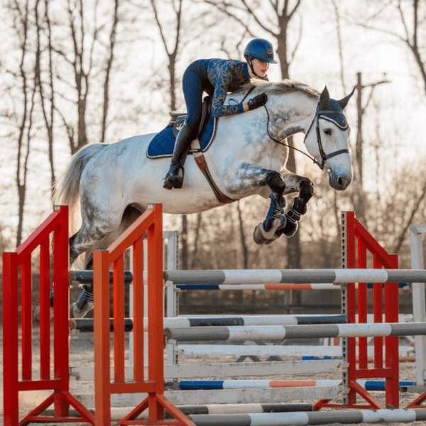 Royal Equestrian Saddle Pad Jump Royal Blue