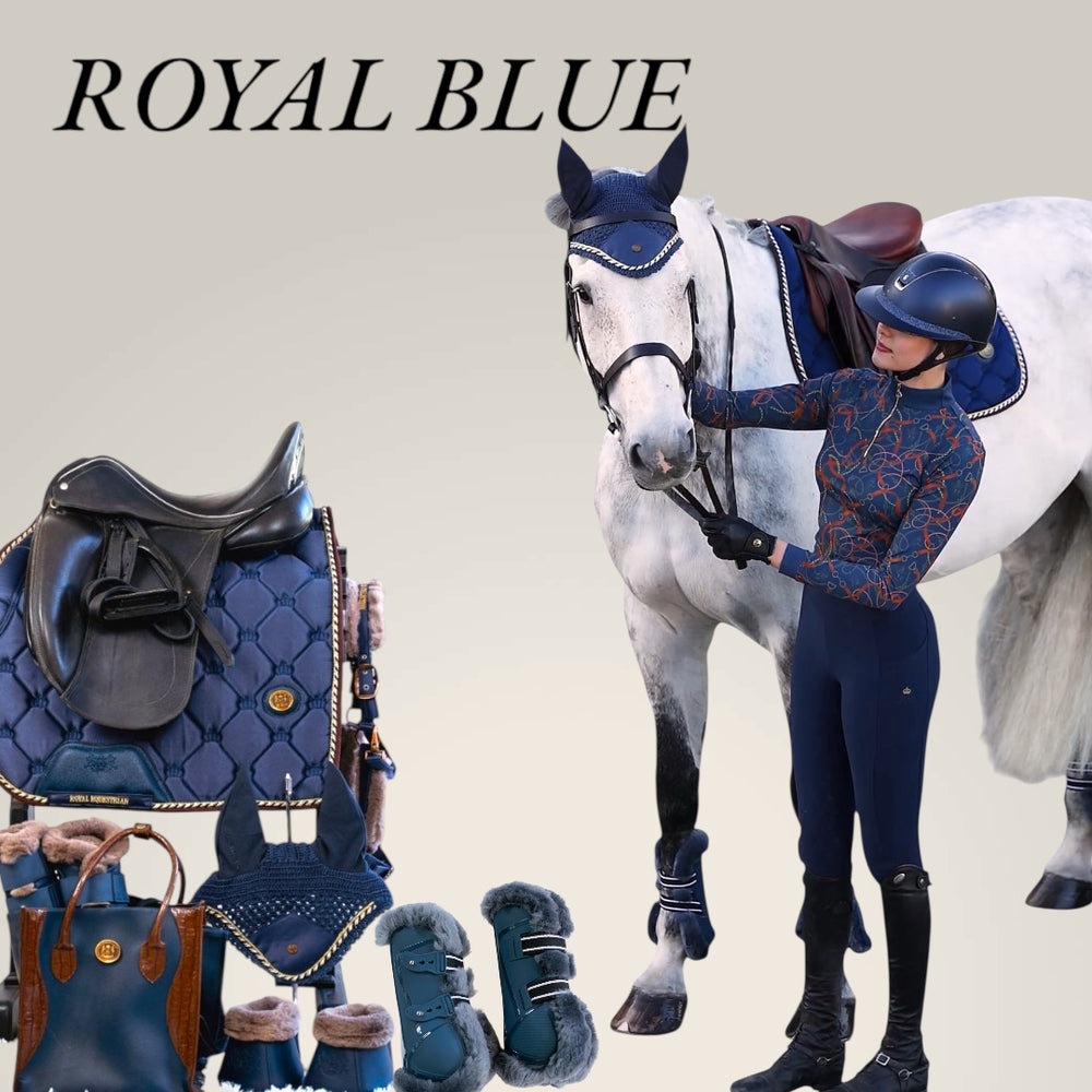 Conjunto de equipamiento ecuestre con un caballo, un jinete y accesorios en azul real sobre un fondo gris claro. Royal Equestrian.