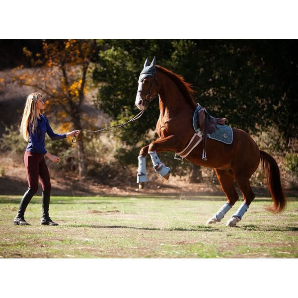 Mantilla de doma clásica Royal Equestrian azul marino completa
