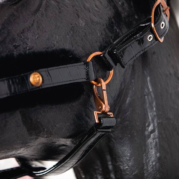 Cabezada real ecuestre de piel Croco Black Full