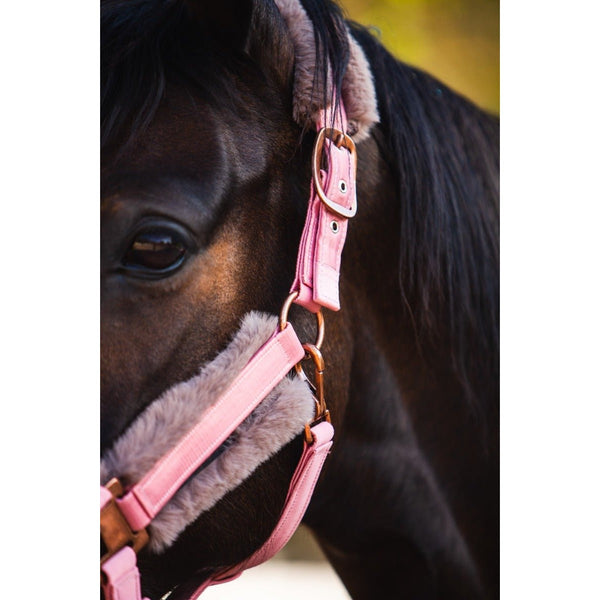 Royal Equestrian Fur Halter Pink Full