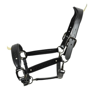Royal Equestrian Pro Diamond Jog Leather Halter (licou en cuir)