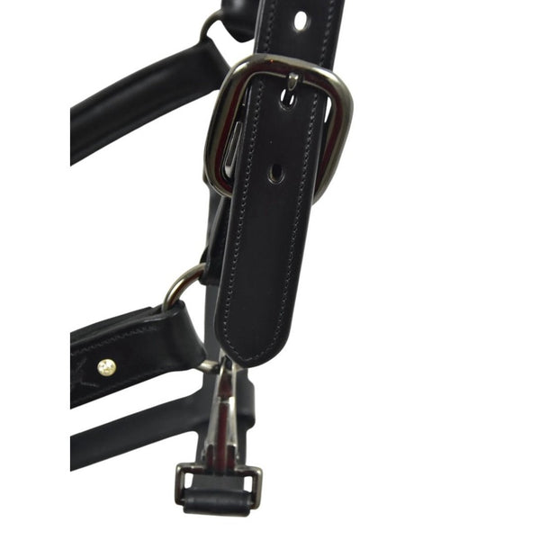 Royal Equestrian Pro Diamond Jog Leather Halter (licou en cuir)