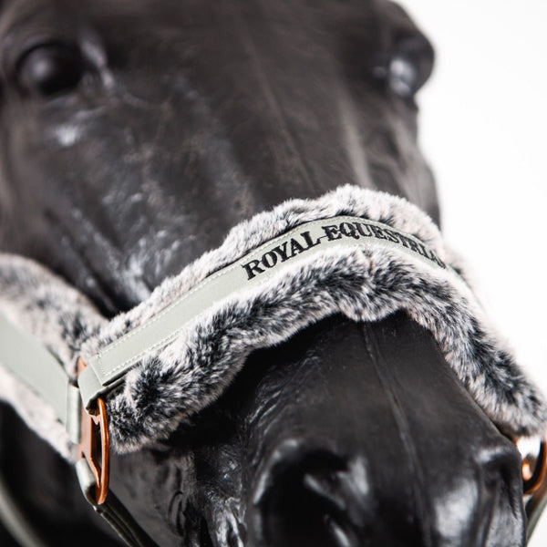Royal Equestrian Bont Halster Zilver Volledig