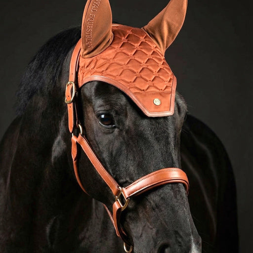 Royal Equestrian ørehette kobberfarget i Vogue