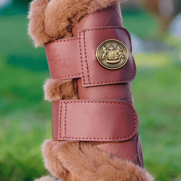 Royal Equestrian Mesh Brushing Horse Boots kobberfarget, en vogue