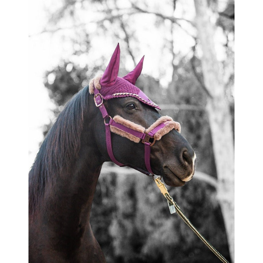 Królewska czapka jeździecka Premium Ear Bonnet, fioletowo-czarna, pełna